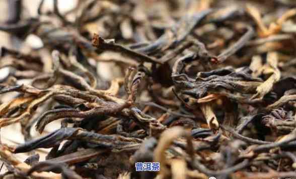 云南滇红普洱茶区别-云南滇红和普洱茶的区别