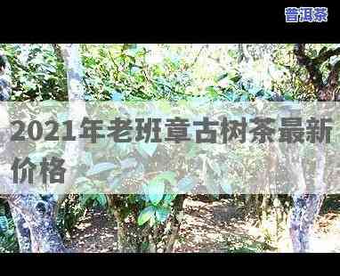 2021老班章原料-老班章原料价格