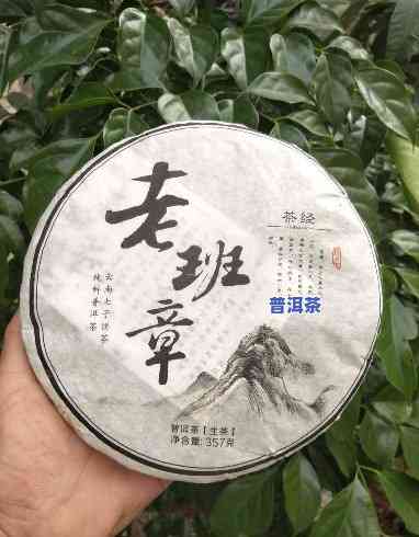 普洱老班章茶叶，品味醇厚：探索普洱老班章茶叶的魅力与故事