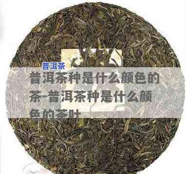 普洱茶中茶色是什么颜色？探究其色泽与图片解析