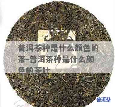 普洱茶中茶色是什么-普洱茶中茶色是什么颜色