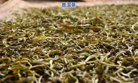 老班章有甜茶吗？老班章的甜茶与苦茶有何区别？