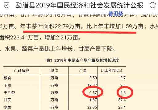 古树极品普洱茶价格全揭秘，最新价格表一网打尽！