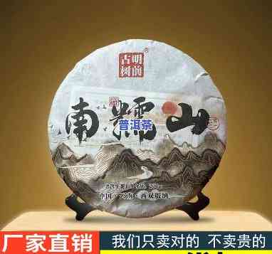 南糯山普洱饼茶价格-南糯山普洱熟茶饼价格