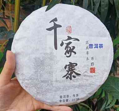 千家寨普洱茶生茶：357克价格多少？一斤需要几本？