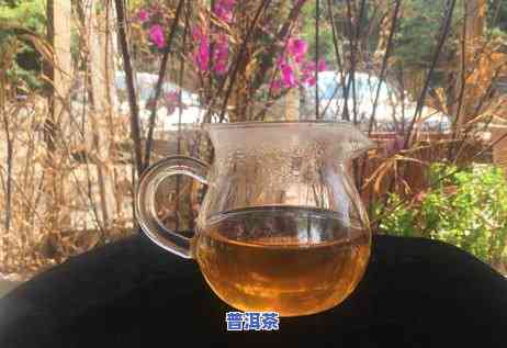 班章茶王普洱熟茶价格，探究班章茶王普洱熟茶的市场价格与品质关系