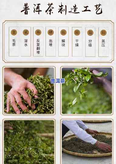 2007年韵象普洱茶：熟茶品质怎样？韵香特点探究