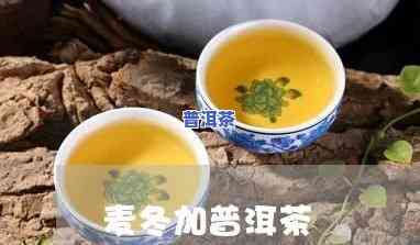 普洱茶与麦冬搭配，养生新宠：普洱茶与麦冬的完美搭档