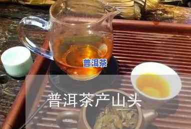 光头火哥高端普洱茶-光头茶身价