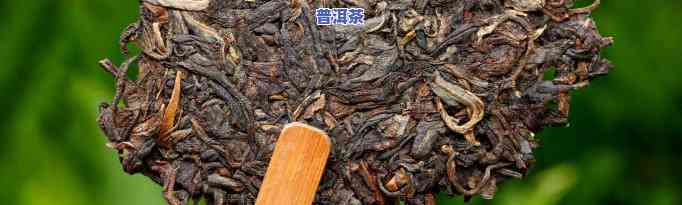 云南勐海老班章普洱茶：价格与熟茶全面解析