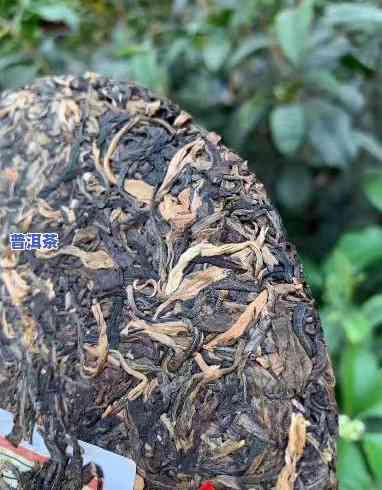 普洱市祯瑞普洱茶业，「普洱市祯瑞普洱茶业」：探寻优质普洱茶的源头