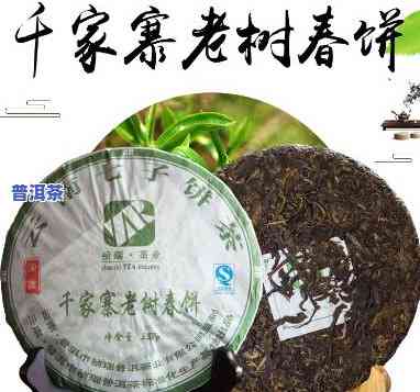 千家寨普洱熟茶价格，探索千家寨普洱熟茶的市场价格及其价值