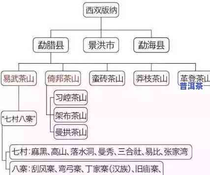 邦协普洱茶：产区、特点全解析