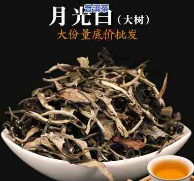 月光白普洱生茶价格-月光白普洱茶价格多少钱