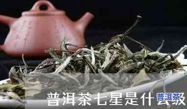 七星普洱茶是什么意思，揭秘七星普洱茶：含义与特点解析