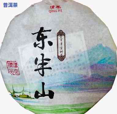 东半山普洱茶生茶价格，揭秘东半山普洱茶生茶市场价格，让您买到真正的优质好茶！