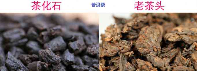 茶化石普洱茶熟茶怎么泡，怎样冲泡茶化石普洱茶熟茶？详细步骤解析