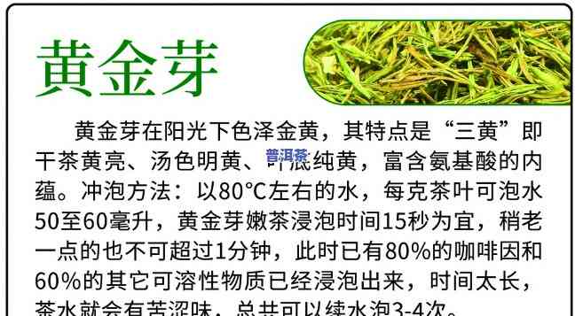 黄金芽普洱茶的功效与作用，探索黄金芽普洱茶的神奇功效与作用