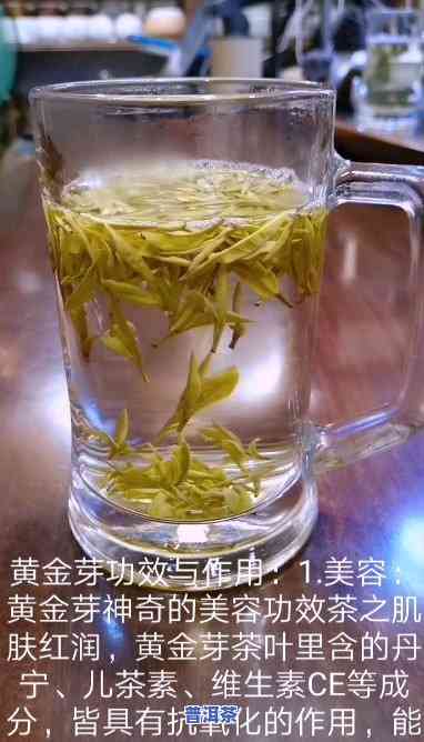 黄金芽普洱茶的功效与作用，探索黄金芽普洱茶的神奇功效与作用