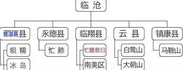 探索普洱茶初心茶的产地与特别特性 - 价格解析