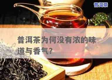 完全没香气的普洱茶是什么茶，揭秘：无香气的普洱茶究竟是什么？