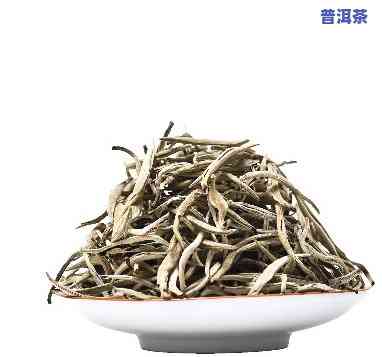 普洱白毫银针属于什么茶？详解其种类与类别