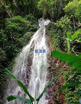 普洱黑曜石，探索神秘的普洱黑曜石：一种珍贵的矿石资源