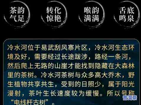 冷水河普洱茶树龄，探索冷水河普洱茶的独特魅力：揭秘其千年古树龄的秘密