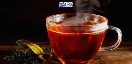 普洱茶工厂：揭秘发酵过程与排名