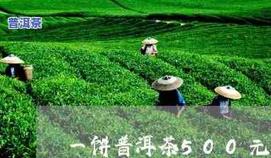 50元一饼的普洱茶：品质怎样？值得购买吗？与500元一饼的有何区别？