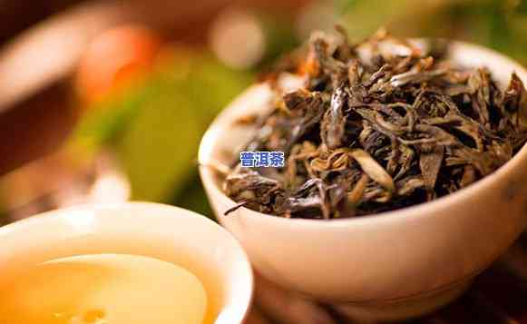 冰岛古乔木茶是什么茶，解密神秘的冰岛古乔木茶：它究竟是什么茶？