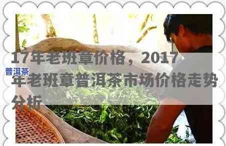 2017老班章价格表：最新3月2日行情与年度走势对比分析