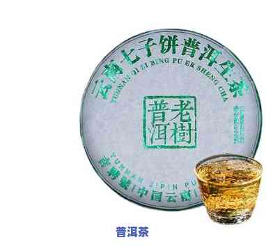 普洱茶才是真正的茶英语，Unleash the True Taste of Tea: Why Pu'er tea Deserves to be Called 'Real Tea' in English