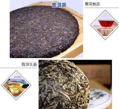 普洱茶二级茶的区别-普洱茶二级茶的区别是什么