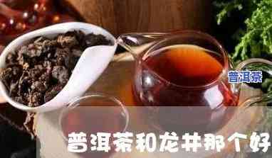 普洱好喝还是龙井好喝，普洱茶 vs 龙井茶：哪个更好喝？