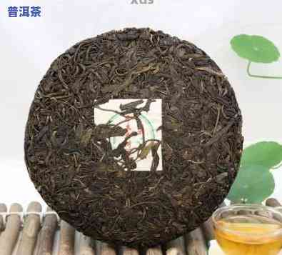 普洱生茶有糯米香吗，探究普洱生茶的香气：它是不是有糯米香？