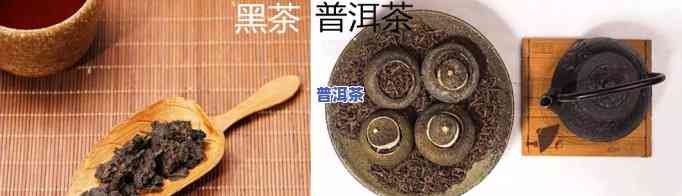 黑茶和普洱茶那个好，比较一下：黑茶和普洱茶哪个更好？