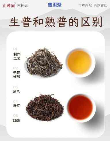 大益普洱茶生普与熟普：区别与选择