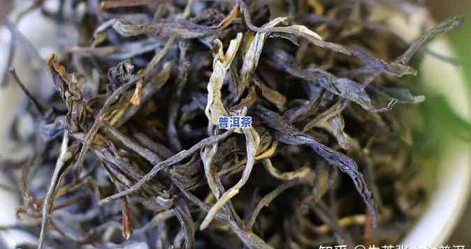 十多年的普洱茶：价值几何？是不是仍可饮用？