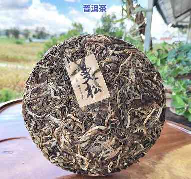 高端普洱茶倚邦曼松-倚邦曼松古树茶