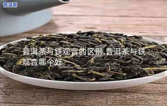 普洱茶铁观音哪一个好一点，普洱茶 vs 铁观音：哪个更好？