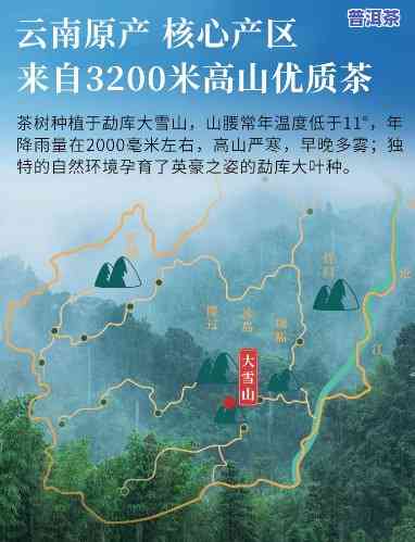 100年普洱茶饼价值多少，探究百年普洱茶饼的价值：历史、品质与市场作用