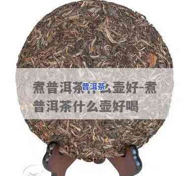 煮普洱茶用什么壶？探讨最适合的选择