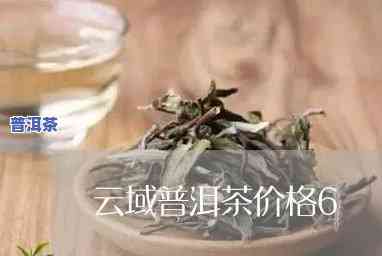 云域普洱茶价格多少-云域普洱茶价格多少钱一斤