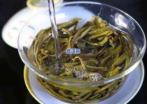 什么季节饮普洱茶好-什么季节饮普洱茶好呢