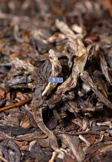 年份久的普洱茶什么味道，探究年份久远的普洱茶口感：岁月的味道与变化