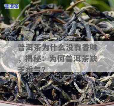 熟普洱茶量多少合适喝呢女性，女性适合饮用多少熟普洱茶？