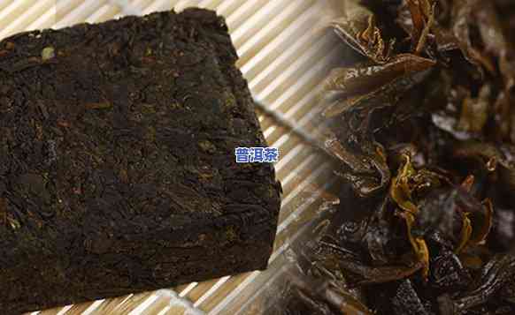 普洱青砖茶是什么茶种，探究茶叶品种：熟悉普洱青砖茶的起源与特点