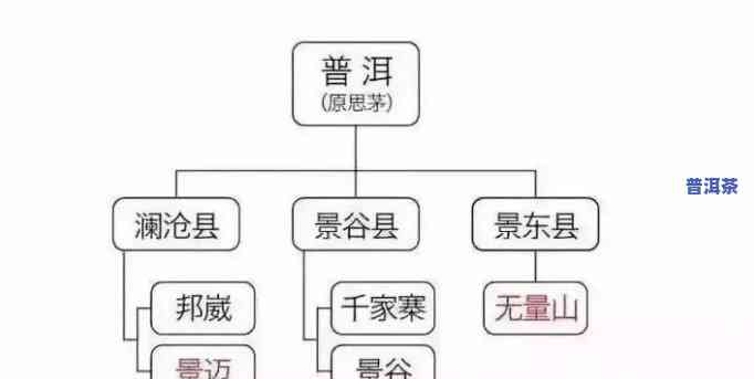 普洱茶：全山头、品种一览