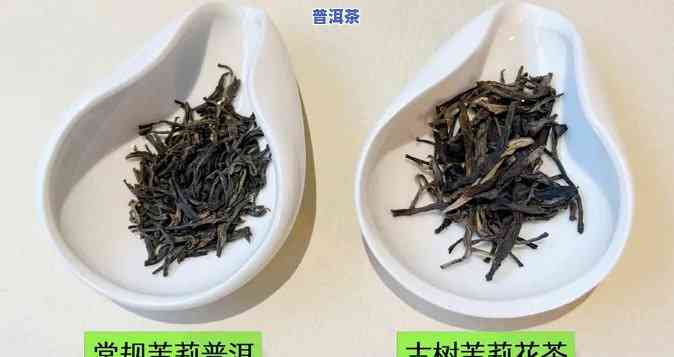 茉莉普洱属于什么茶-茉莉普洱属于什么茶类